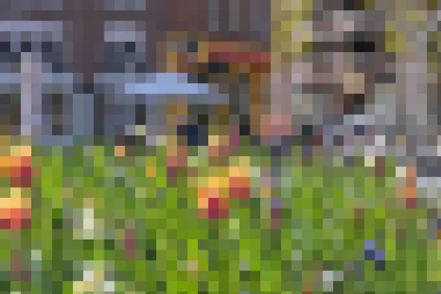 Piet Heinstraat 16 B Den Haag thumbnail 18
