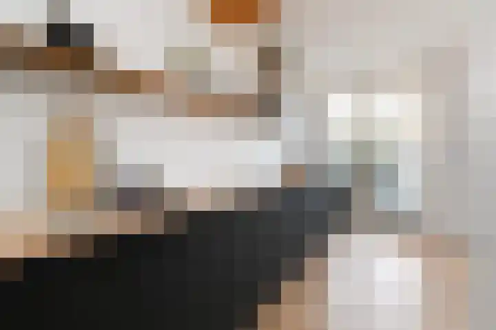 Piet Heinstraat 16 Bleiswijk thumbnail 10