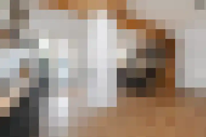Piet Heinstraat 16 Bleiswijk thumbnail 12