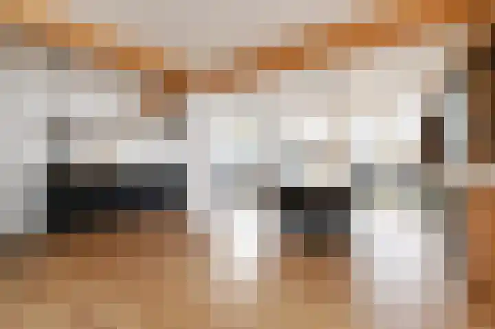Piet Heinstraat 16 Bleiswijk thumbnail 13