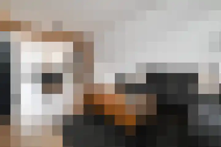 Piet Heinstraat 16 Bleiswijk thumbnail 14