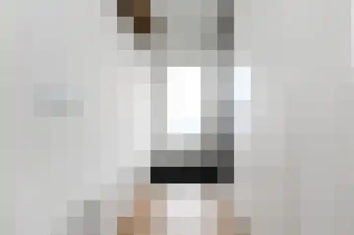 Piet Heinstraat 16 Bleiswijk thumbnail 17