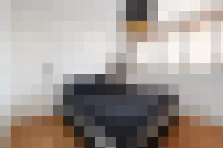 Piet Heinstraat 16 Bleiswijk thumbnail 21