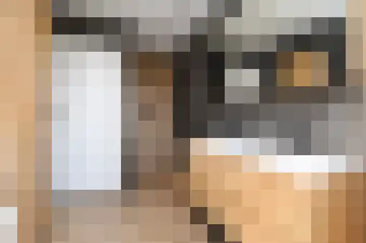 Piet Heinstraat 16 Bleiswijk thumbnail 23