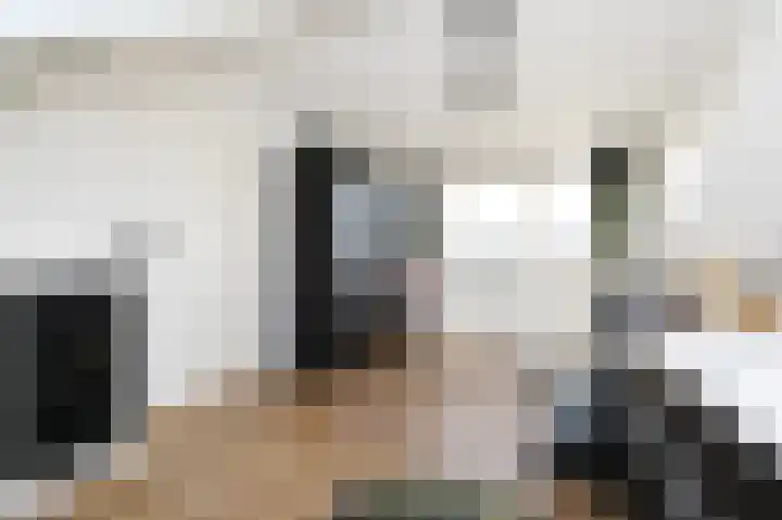 Piet Heinstraat 16 Bleiswijk thumbnail 31