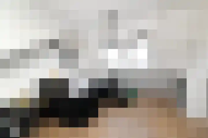 Piet Heinstraat 16 Bleiswijk thumbnail 33