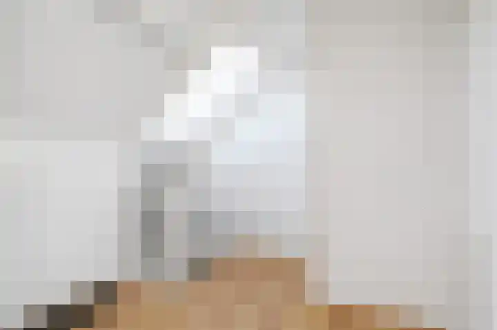 Piet Heinstraat 16 Bleiswijk thumbnail 35