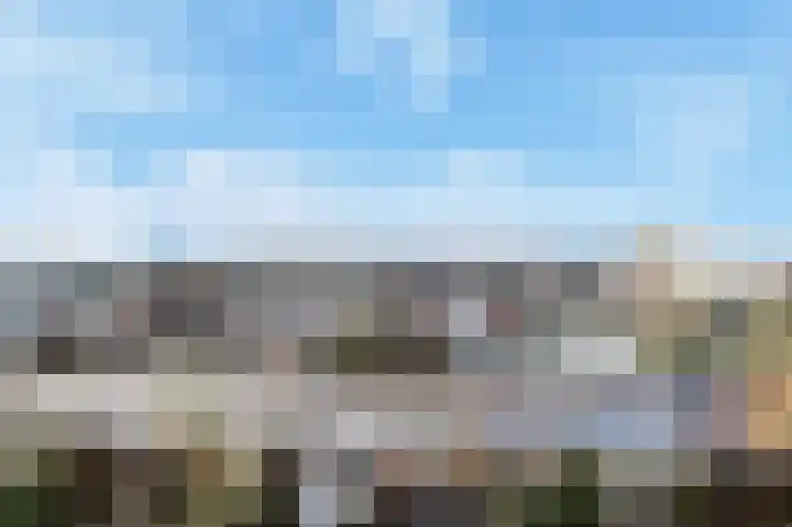 Piet Heinstraat 16 Bleiswijk thumbnail 36