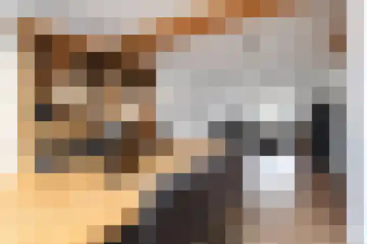 Piet Heinstraat 16 Bleiswijk thumbnail 9