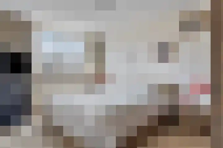 Piet Heinstraat 16 Drunen thumbnail 10