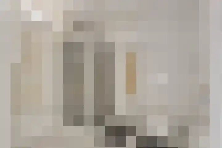 Piet Heinstraat 16 Drunen thumbnail 14
