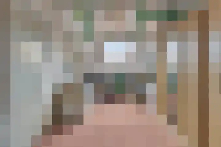 Piet Heinstraat 16 Drunen thumbnail 16