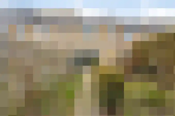 Piet Heinstraat 16 Drunen thumbnail 18