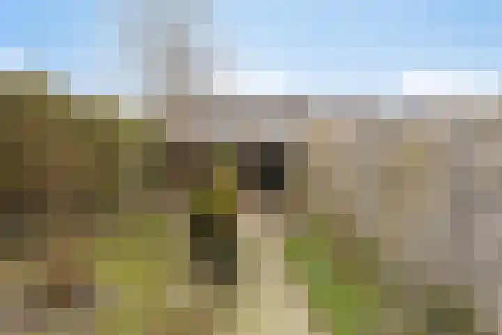Piet Heinstraat 16 Drunen thumbnail 20