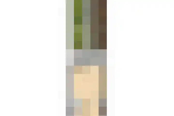 Piet Heinstraat 16 Drunen thumbnail 22