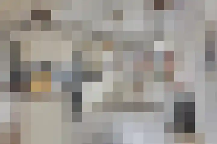 Piet Heinstraat 16 Drunen thumbnail 6