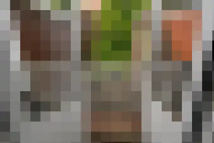 Piet Heinstraat 17 Delft thumbnail 12