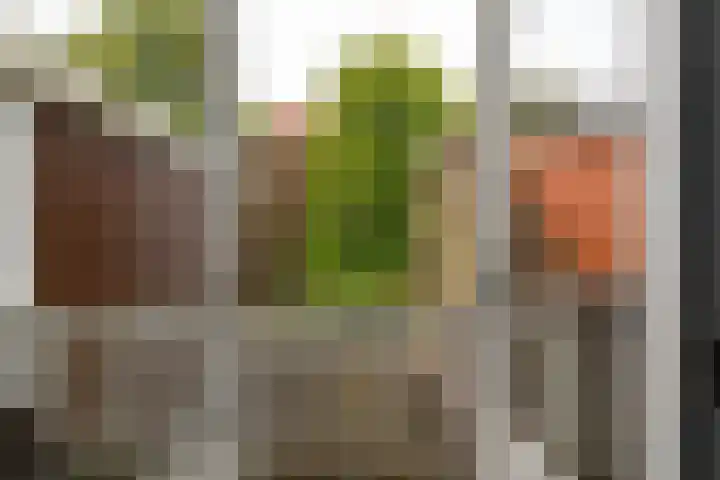 Piet Heinstraat 17 Delft thumbnail 13