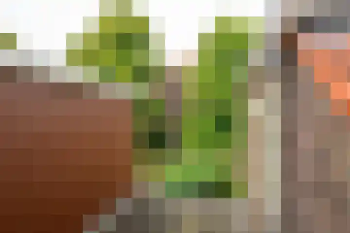 Piet Heinstraat 17 Delft thumbnail 15