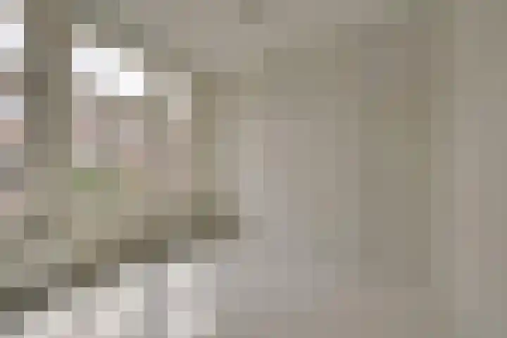 Piet Heinstraat 17 Delft thumbnail 16