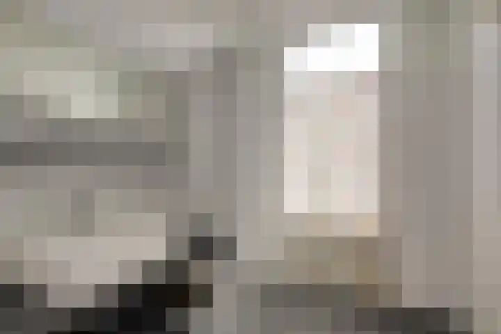 Piet Heinstraat 17 Delft thumbnail 19