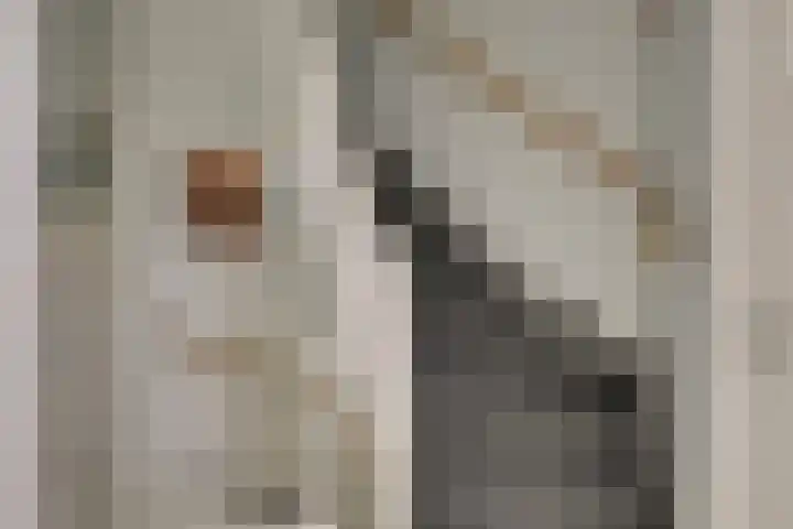 Piet Heinstraat 17 Delft thumbnail 23