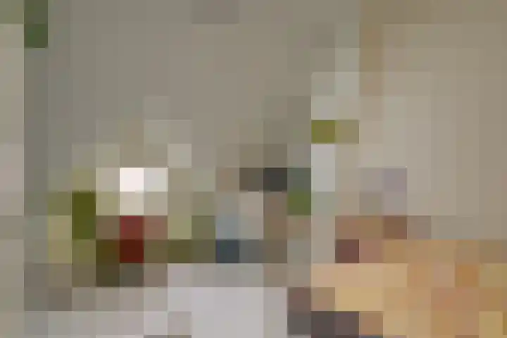 Piet Heinstraat 17 Delft thumbnail 28