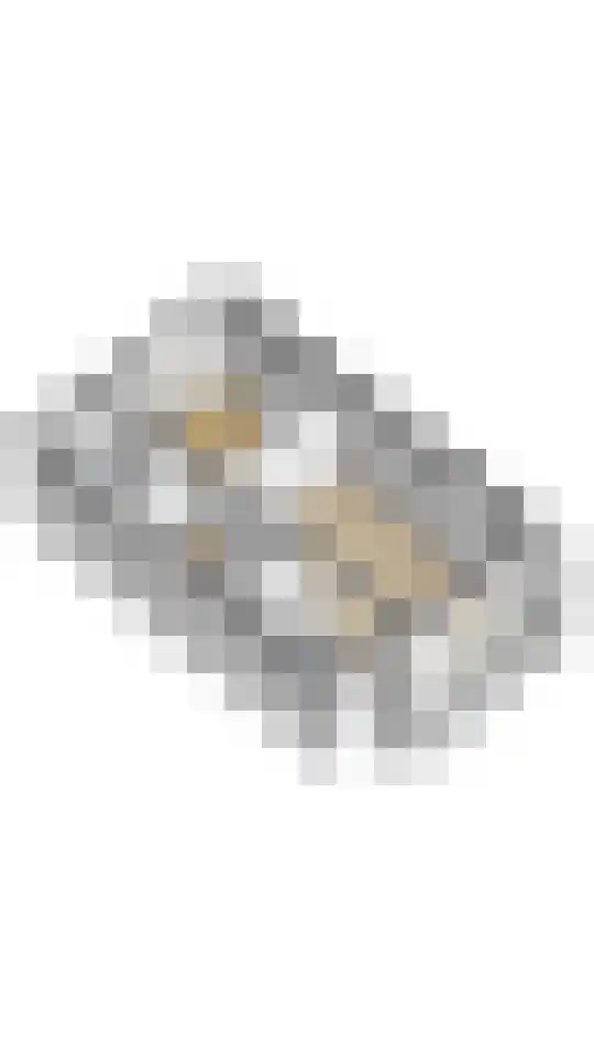 Piet Heinstraat 17 Delft thumbnail 38