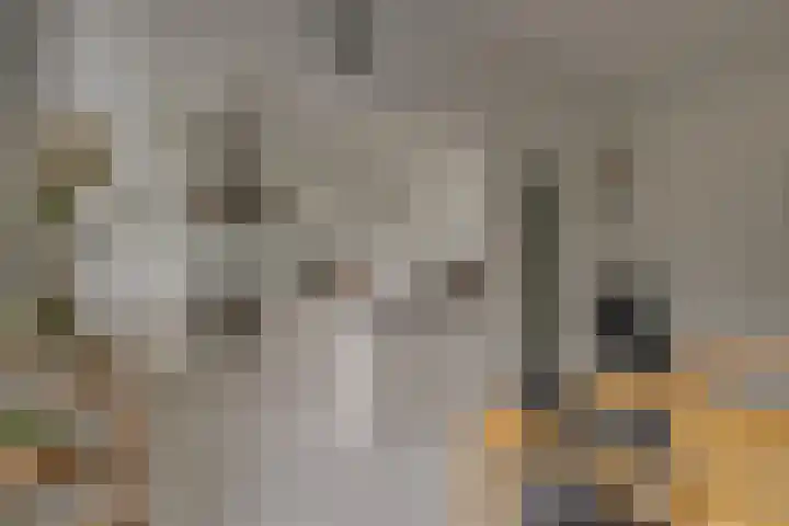 Piet Heinstraat 17 Delft thumbnail 8