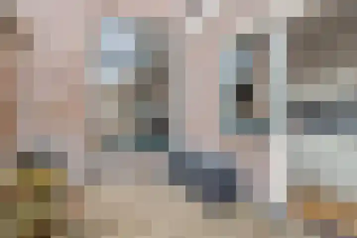 Piet Heinstraat 17 Leiden thumbnail 11