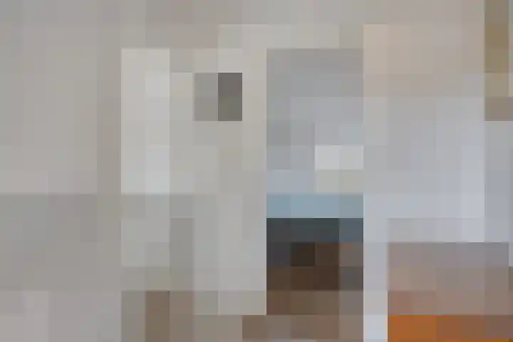 Piet Heinstraat 17 Leiden thumbnail 14