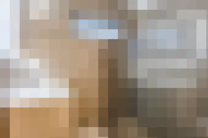 Piet Heinstraat 18 Tilburg thumbnail 17