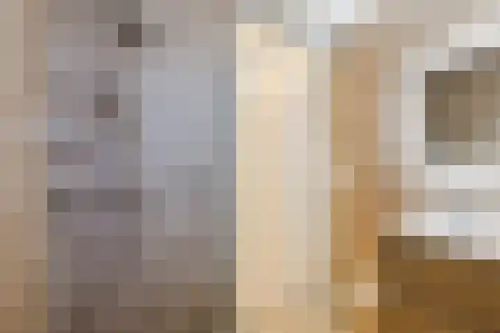 Piet Heinstraat 18 Tilburg thumbnail 19