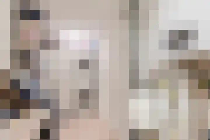 Piet Heinstraat 18 Tilburg thumbnail 21