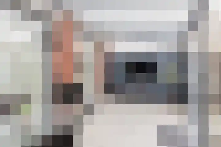 Piet Heinstraat 18 Tilburg thumbnail 24