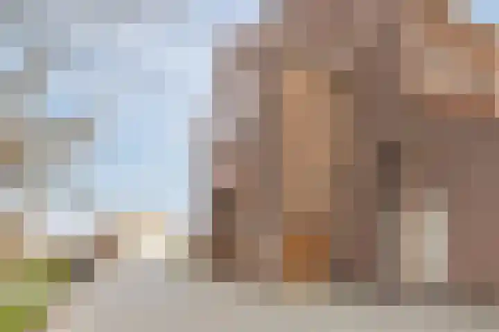 Piet Heinstraat 18 Tilburg thumbnail 33