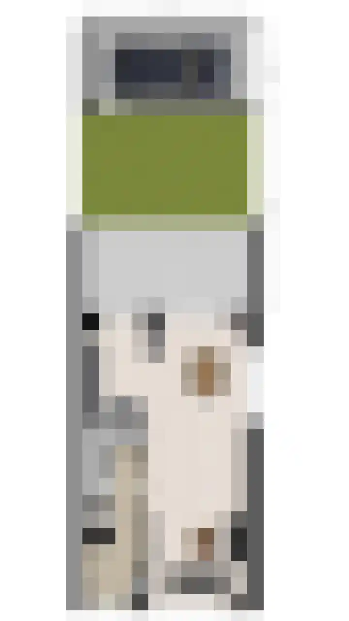 Piet Heinstraat 18 Tilburg thumbnail 36