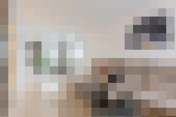 Piet Heinstraat 18 Tilburg thumbnail 4