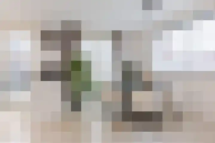 Piet Heinstraat 18 Tilburg thumbnail 5