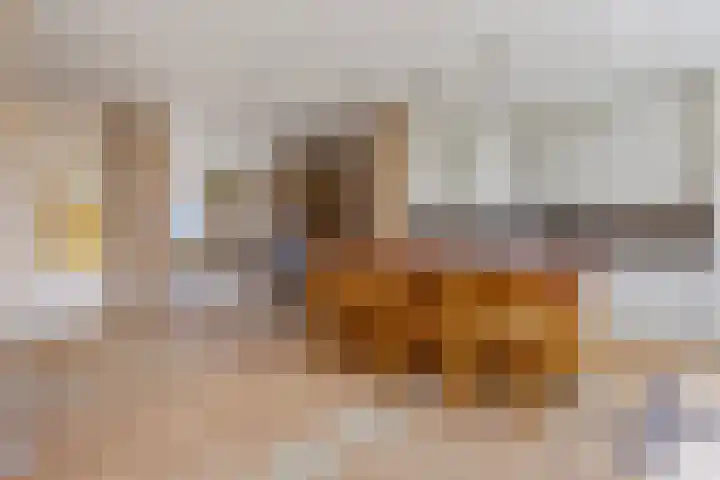 Piet Heinstraat 19 Bodegraven thumbnail 11