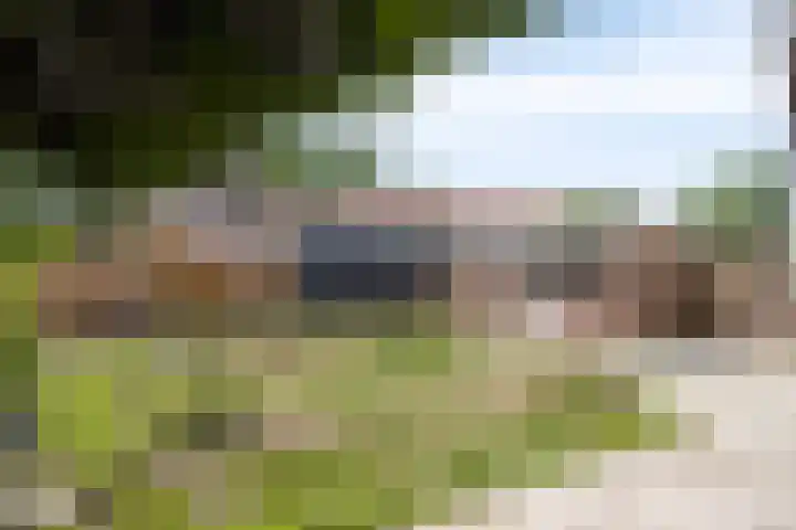 Piet Heinstraat 19 Bodegraven thumbnail 15