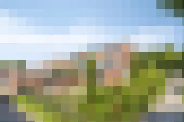 Piet Heinstraat 19 Bodegraven thumbnail 18