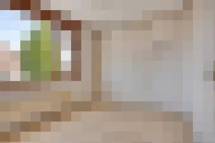 Piet Heinstraat 19 Bodegraven thumbnail 23