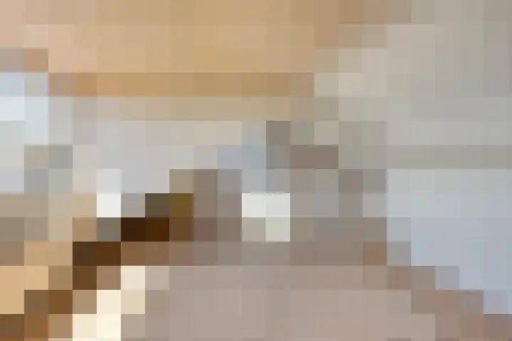 Piet Heinstraat 19 Bodegraven thumbnail 31