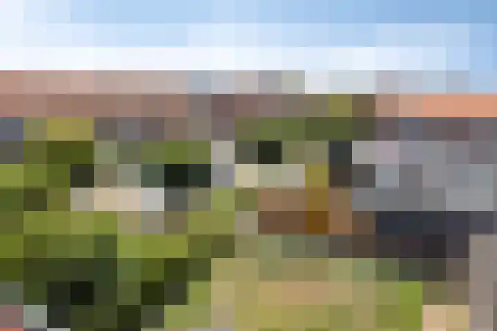 Piet Heinstraat 19 Bodegraven thumbnail 34