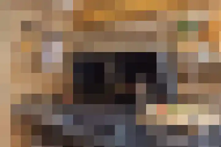 Piet Heinstraat 19 De Meern thumbnail 11