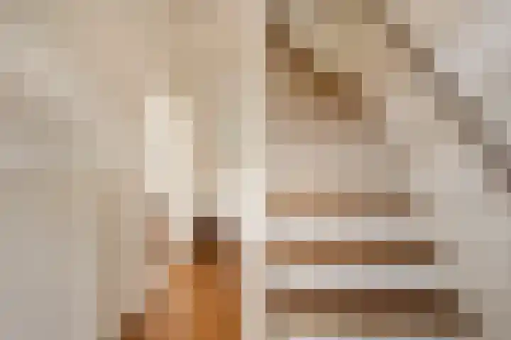 Piet Heinstraat 19 De Meern thumbnail 16