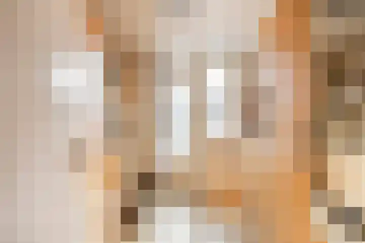 Piet Heinstraat 19 De Meern thumbnail 17