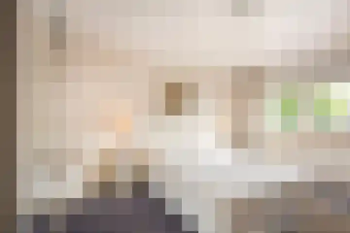 Piet Heinstraat 19 De Meern thumbnail 20