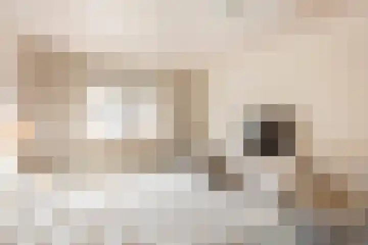 Piet Heinstraat 19 De Meern thumbnail 21